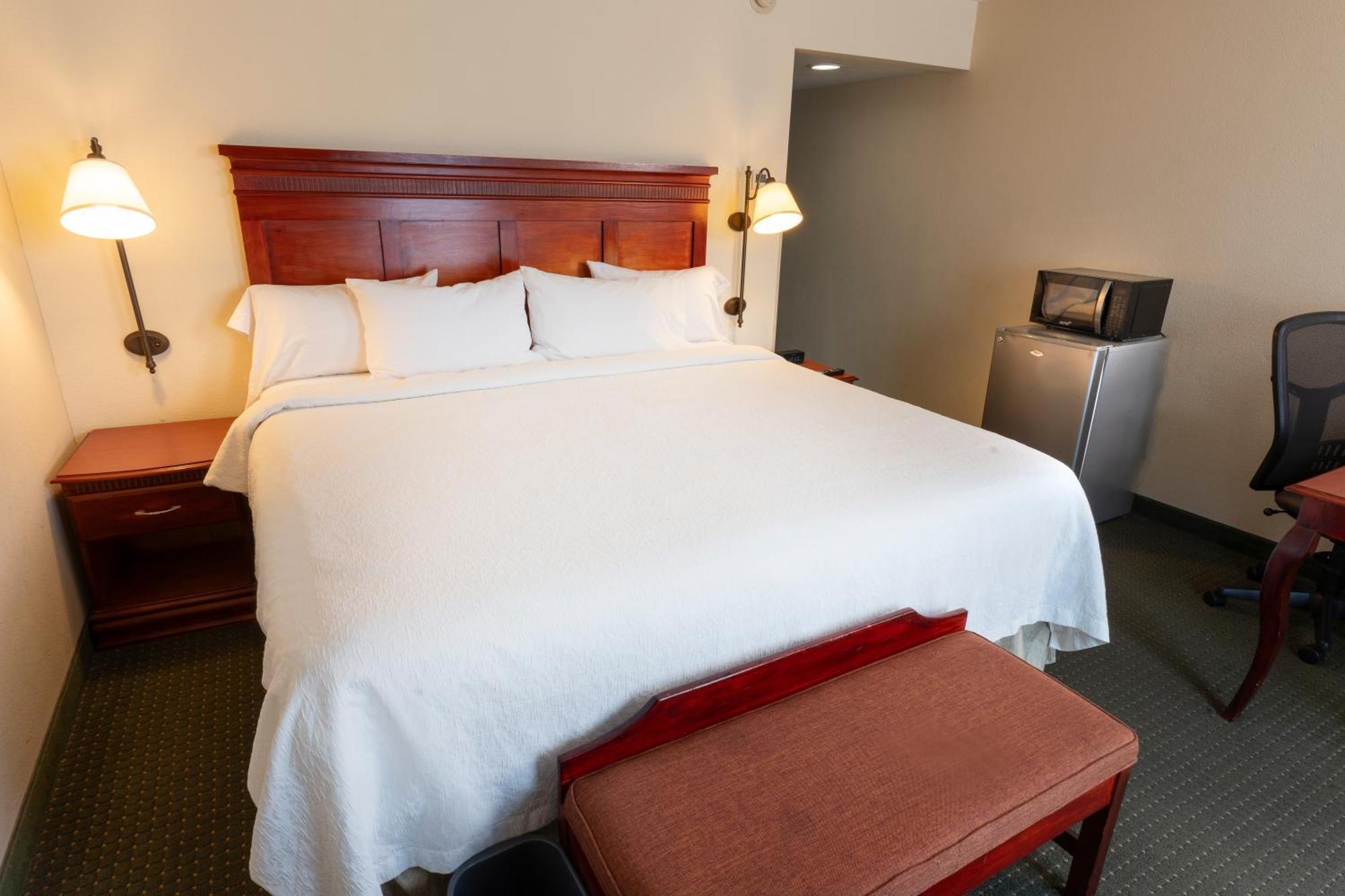 Hampton Inn By Hilton Guadalajara-Aeropuerto Las Pintas Dış mekan fotoğraf